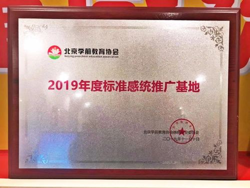 七岁感统训练黄金期 安阳知觉教育咨询的创新服务之路